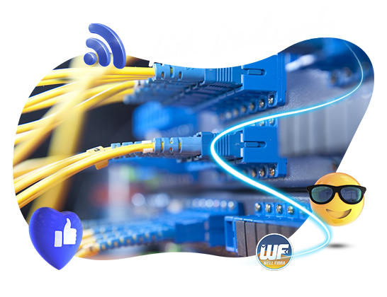 link-wellfibra-